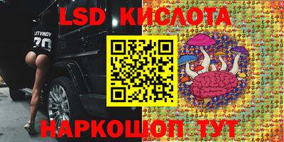 индика Донской